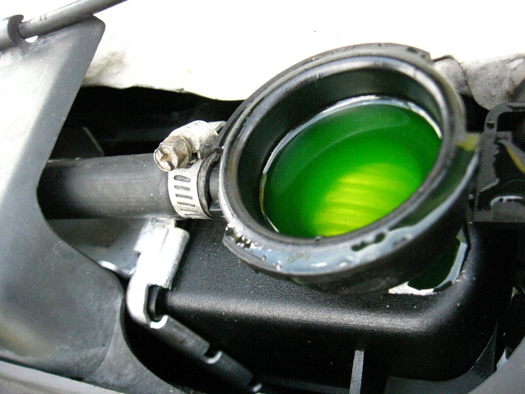 Antifreeze-To Flush or Not to Flush, that is the Question